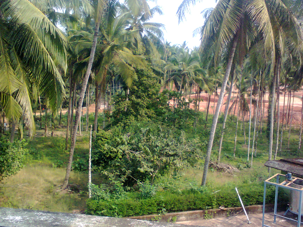 2 acre land in Moodbidri